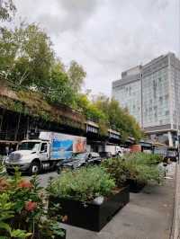 The High Line Park NYC