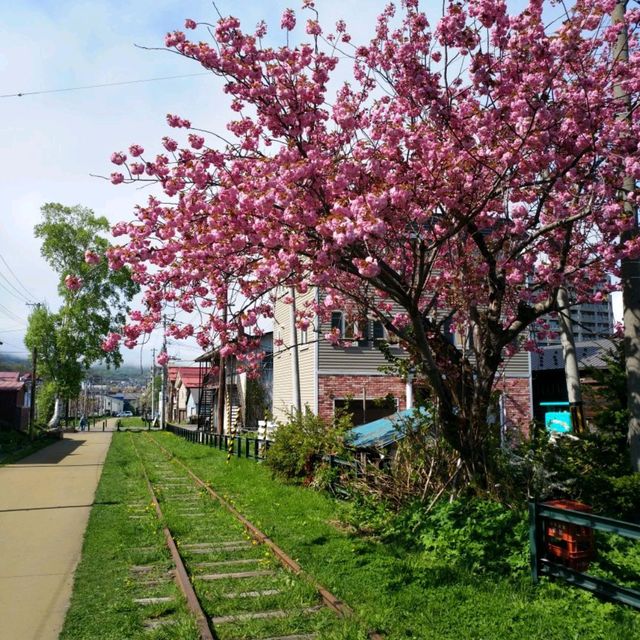 小樽鐵道 舊手宮線