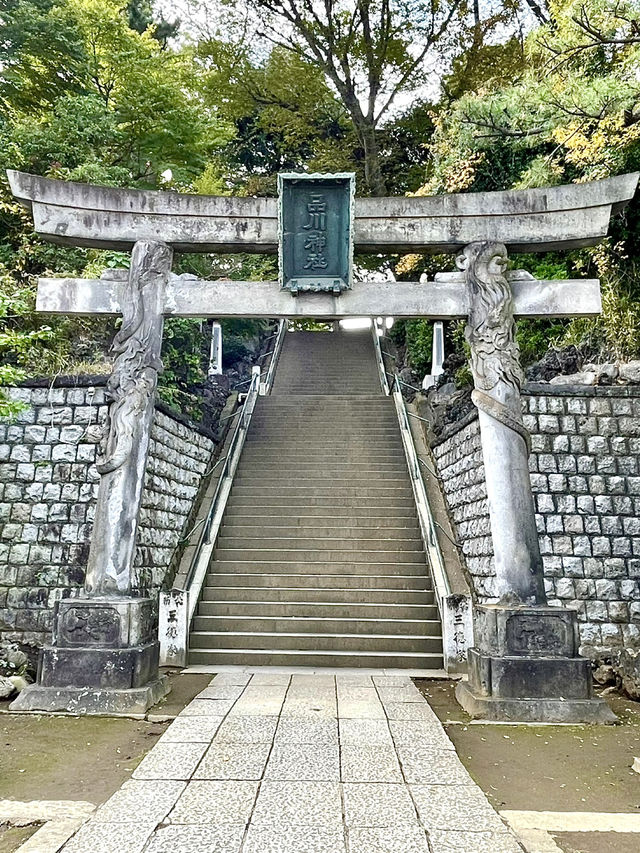 【東京都】圧巻の双龍鳥居