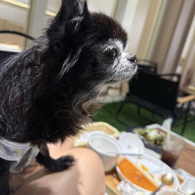 e for egg , d for dog 