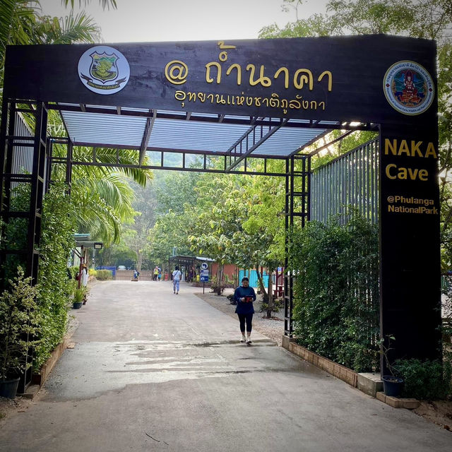 ก้อนหินที่แตกลายเป็นเกล็ด🪨สู่ความศรัทธาในบึงกาฬ