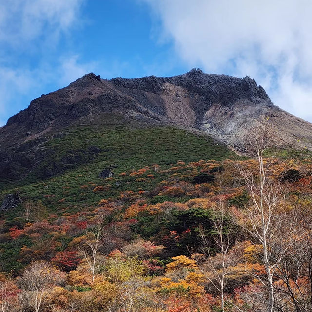 🦜華蓋山🍄‍🟫秋色自然的魔力！🍂⛰️