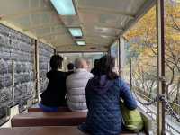 【富山】黒部峡谷鉄道トロッコ電車の旅が風情ありすぎた