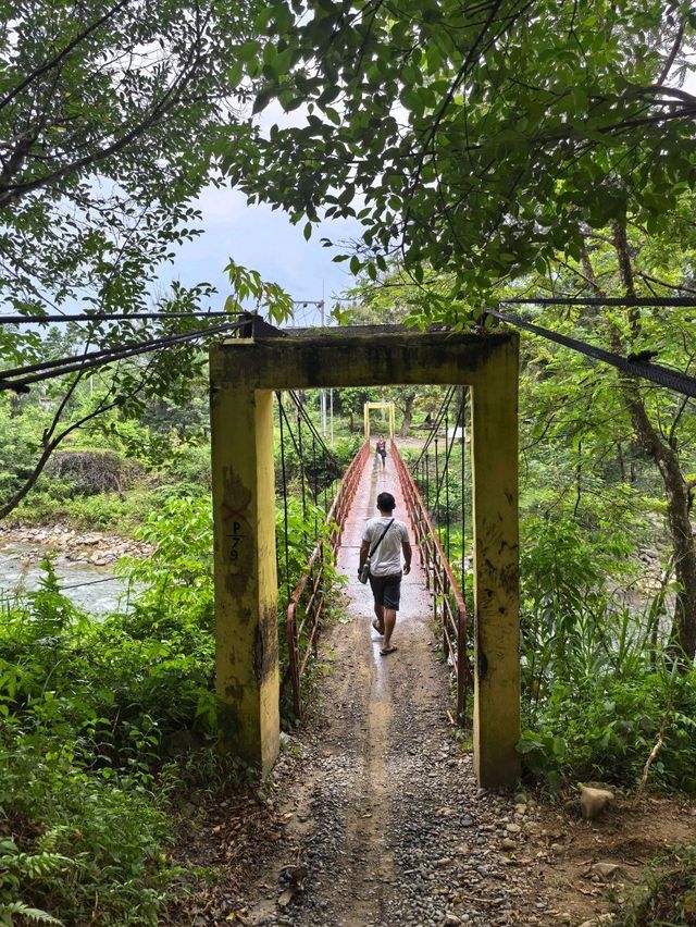 Things to do in Bukit Lawang 
