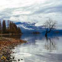 Abel Tasman National Park – A Coastal Paradise