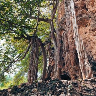 VISITING SHAH ALLAH DITTA CAVES.
