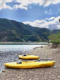 奄美大島　マングローブでカヤック体験！🛶