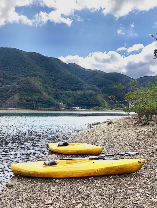 奄美大島　マングローブでカヤック体験！🛶