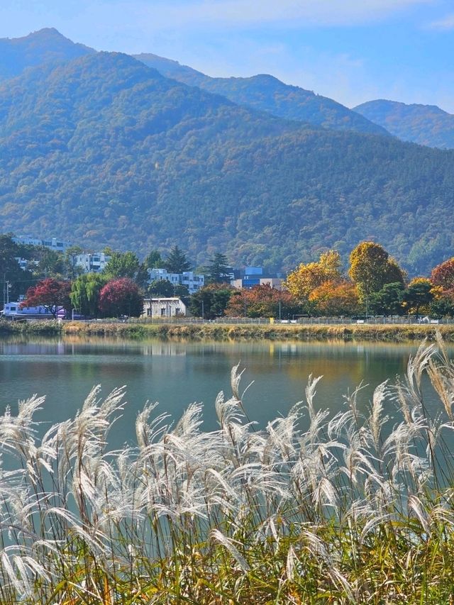 가을에는 단풍 명소로 유명한 대구 야외데이트 추천지 👫
