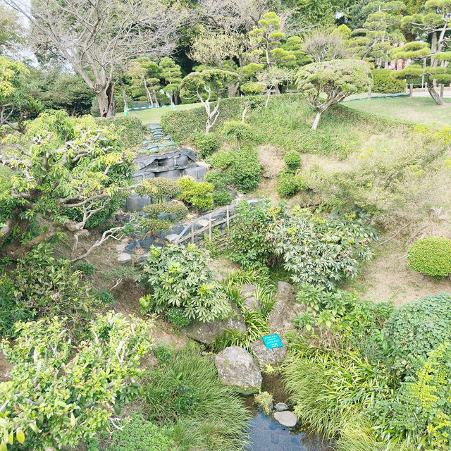 Garden of Wonders: Discovering the Beauty of Suizenji in Kumamoto!