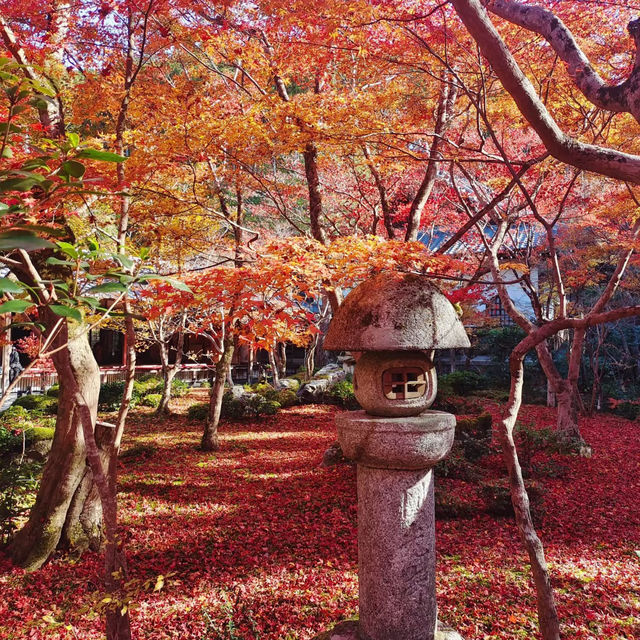 ～筥崎宮～靜謐聖地～