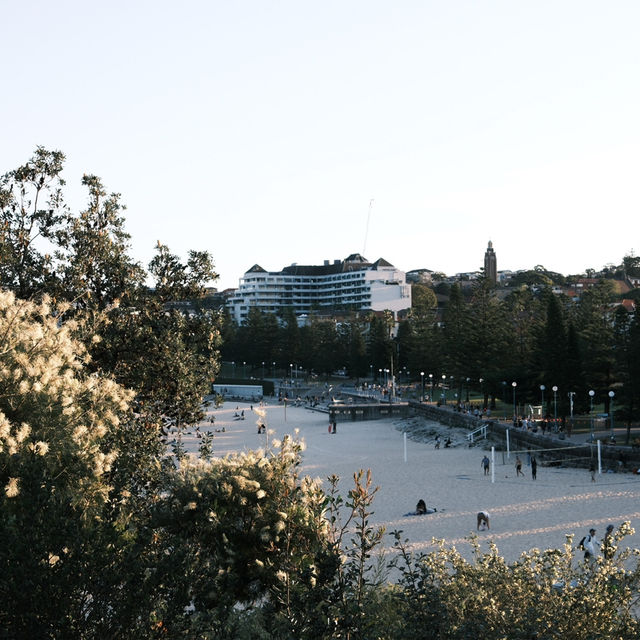 悉尼最怡人海灘COOGEE🏝️