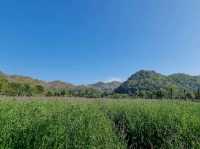 สวนดอกไม้ Hokkaido เขาใหญ่ 