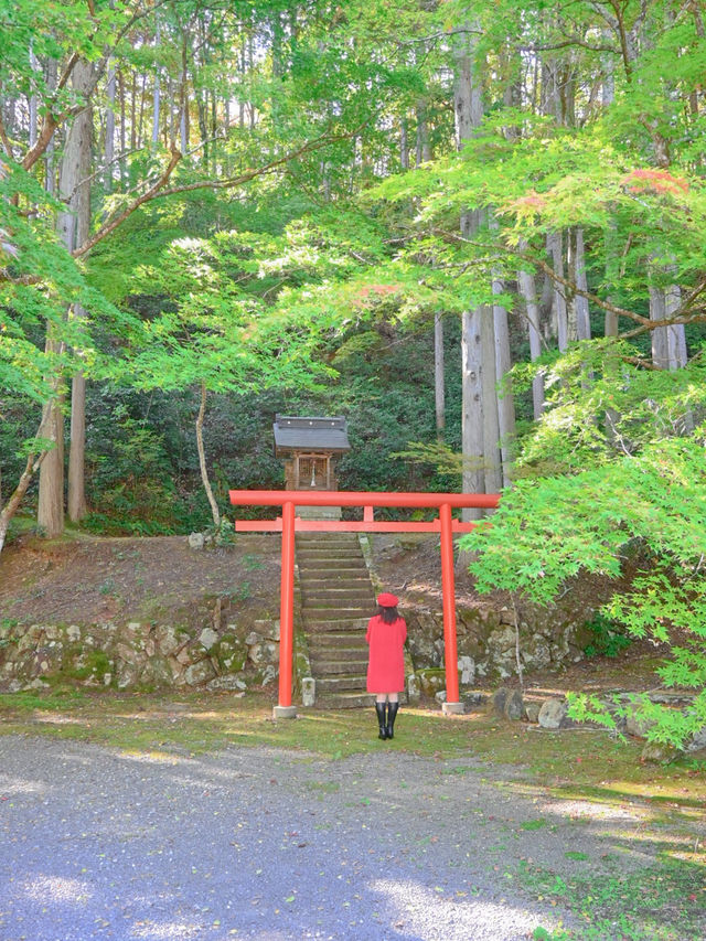 【兵庫】秋の映え写真、マストスポット🎨 🍁