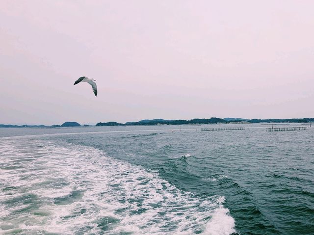 【宮城松島 船で島巡り 後半：デッキで感じる風とカモメのサーフィン】