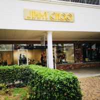 Shopping Spree & Scenic Charm at Rinku Premium Outlets!
