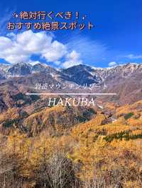 【長野白馬】白馬岩岳マウンテンリゾート✨