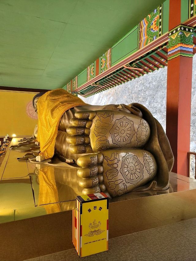 겨울 빙벽도 볼수 있는 영천 만불사🪷