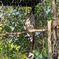 於宇部市常盤動物園探索奇珍異獸