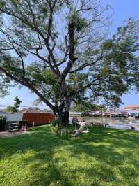 Nutnicha river house ที่พักริมน้ำในนครปฐม