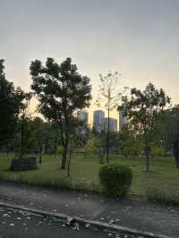พิกัดสถานที่ถ่ายรูปสวย สวนเบญจิกิติ 🌳