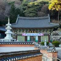 충북 음성 가을 여행 스팟 추천