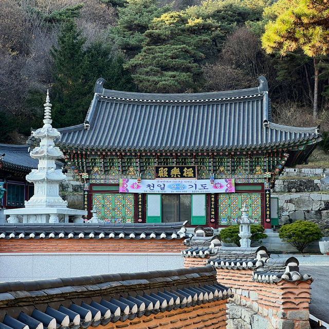 충북 음성 가을 여행 스팟 추천