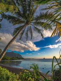 Falling in Love with Oahu: A Paradise for the Soul 