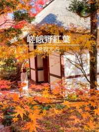 京都嵯峨野の紅葉名所😊🍁小倉山の常寂光寺🍁