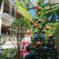 ที่ถ่ายรูปสวยธีมคริสต์มาส CentralWestville