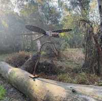 Nature’s Tranquil Haven: Yea Wetlands