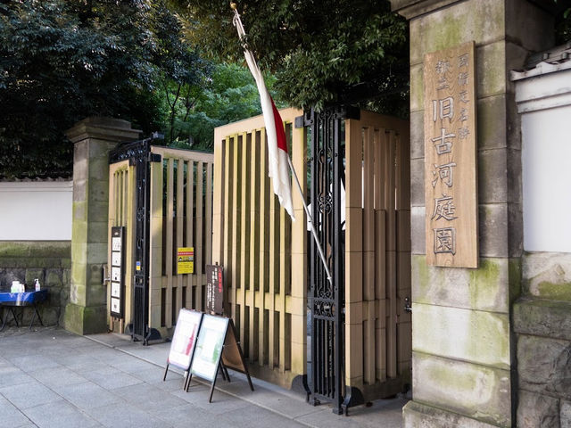 【旧古河庭園】