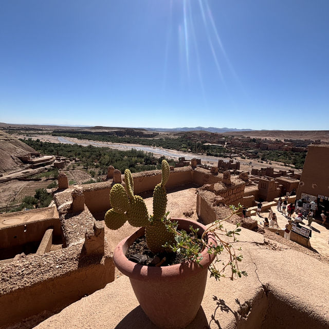 Morocco 🇲🇦