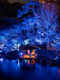 【無料で楽しめる！✨】八芳園のブルーライトアップが幻想的すぎる！！💡