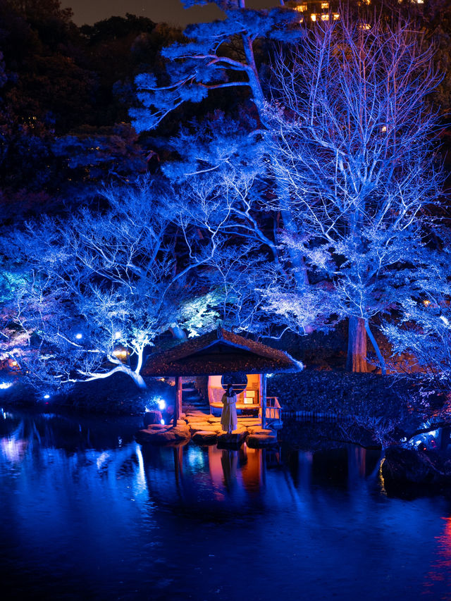 【無料で楽しめる！✨】八芳園のブルーライトアップが幻想的すぎる！！💡