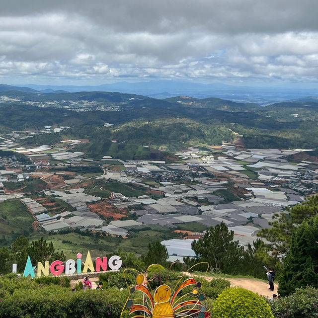 랑비앙산 달랏