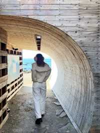 UNDER THE PALMO