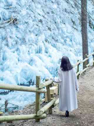 2026 Yokoze Attraction] Icicles of Ashigakubo Travel Guide