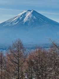 【山梨県】世界的に有名な富士山絶景スポット‼️