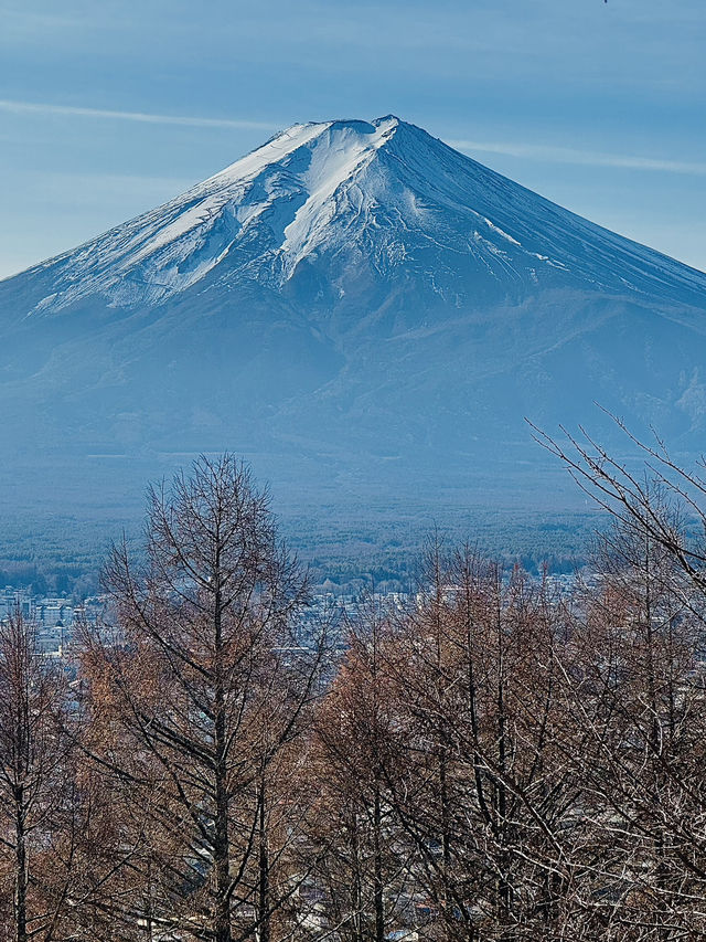 【山梨県】世界的に有名な富士山絶景スポット‼️