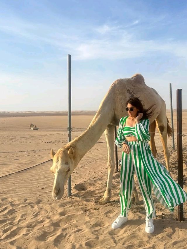 🏜️ Enjoy Abu Dhabi Safari Tour 🌅