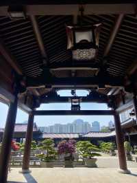 🌺🌼如世外桃源般的「志蓮淨苑」🪷🤩