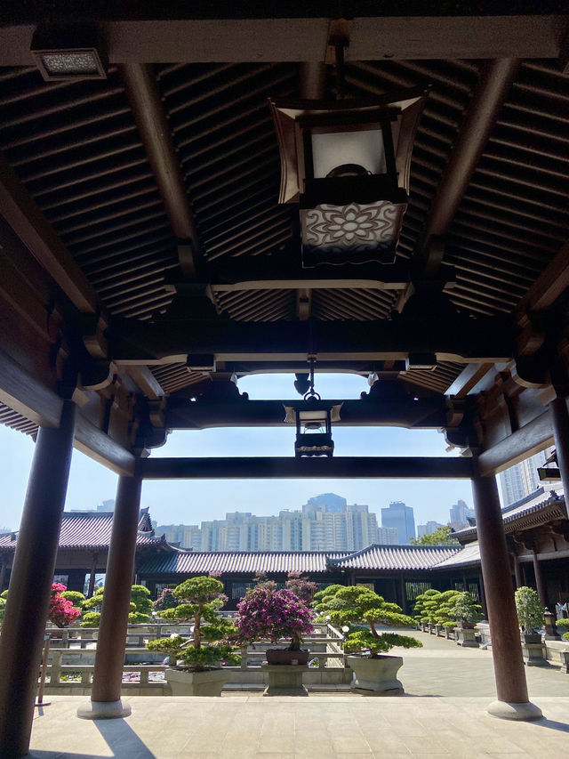 🌺🌼如世外桃源般的「志蓮淨苑」🪷🤩