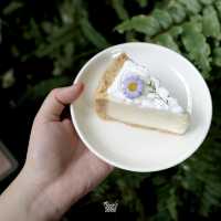 ชวนไปคาเฟ่ลับ บรรยากาศร่มรื่น ย่านนนทบุรี