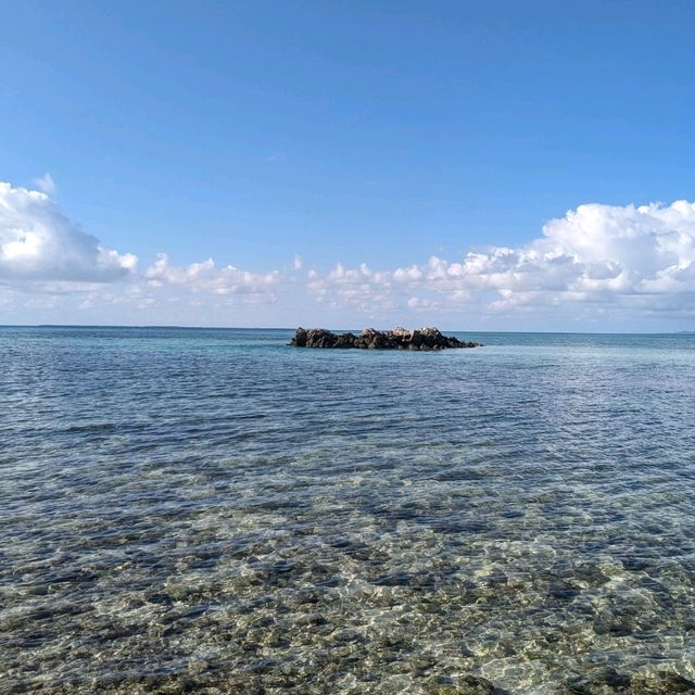 【沖縄県】竹富島〜西桟橋と水牛車体験〜