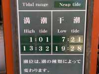 Miyajima Trip Highlights