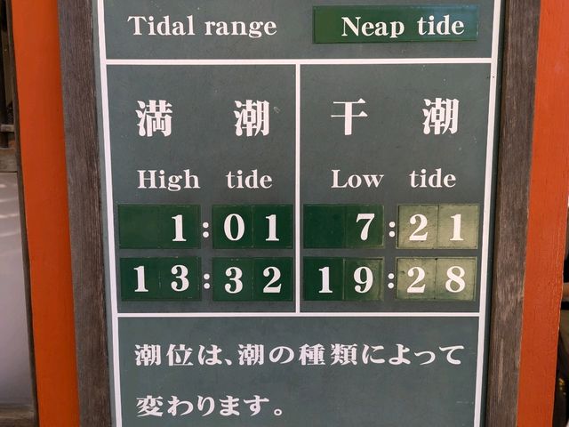 Miyajima Trip Highlights