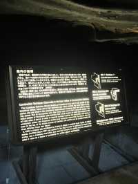 🏯 鎌倉大仏（高徳院）攻略ガイド – 見どころ＆ベストな楽しみ方