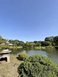 🇯🇵 Shinjuku Gyoen: Tokyo’s Tranquil Garden Escape