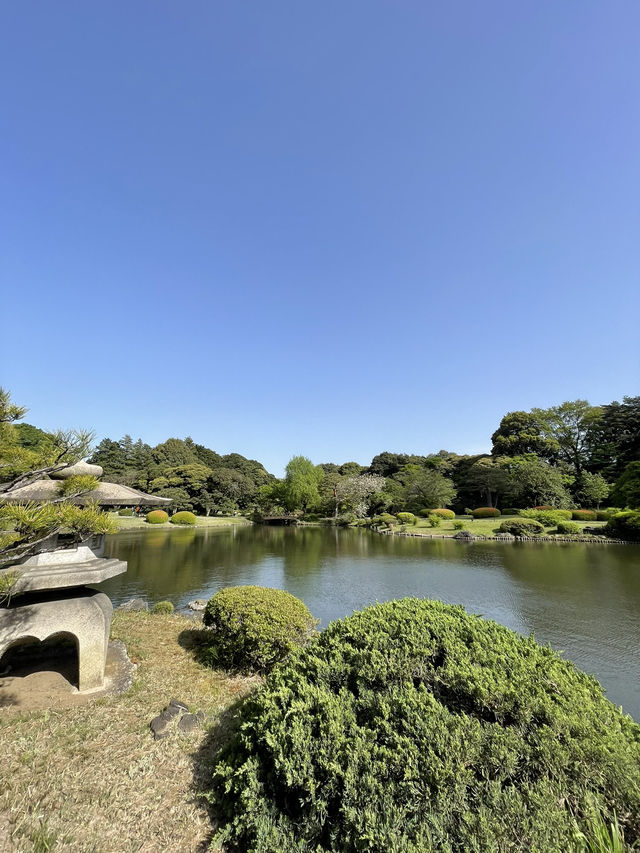 🇯🇵 Shinjuku Gyoen: Tokyo’s Tranquil Garden Escape